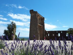 Zbytky hradu Chateauneuf du Pape, Provence