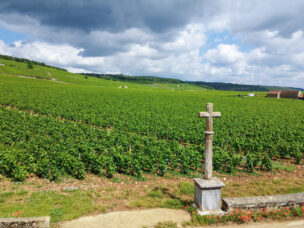Pohled na vinici Romanée Conti, Burgundsko