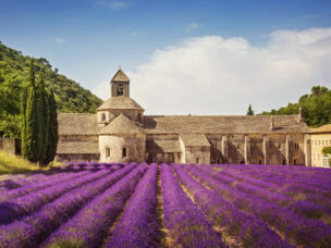 Senanque Abbey with lavender fields