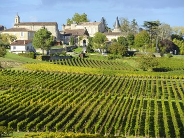 Vineyards of Saint Emilion, Bordeaux Vineyards