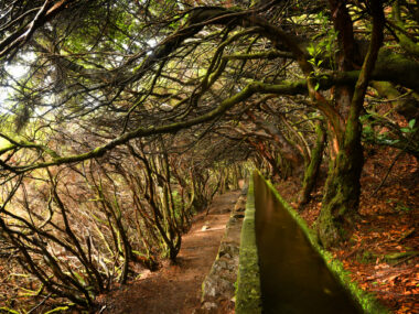 Landscape of madeira island - levada path