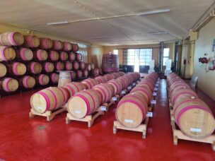 Vinařství v Apulii
