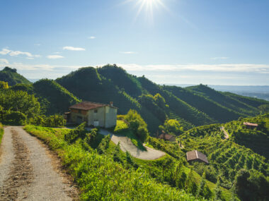 Strada del Prosecco