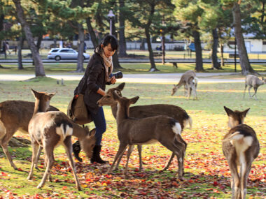 Nara