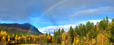 a rural scandinavian landscape in the north of sweden